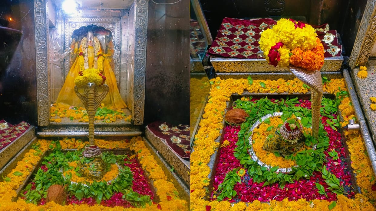 Sawan Somwar 2023 Lord Shiva Devotees Offer Prayers on First Monday of Sawan in Omkareshwar