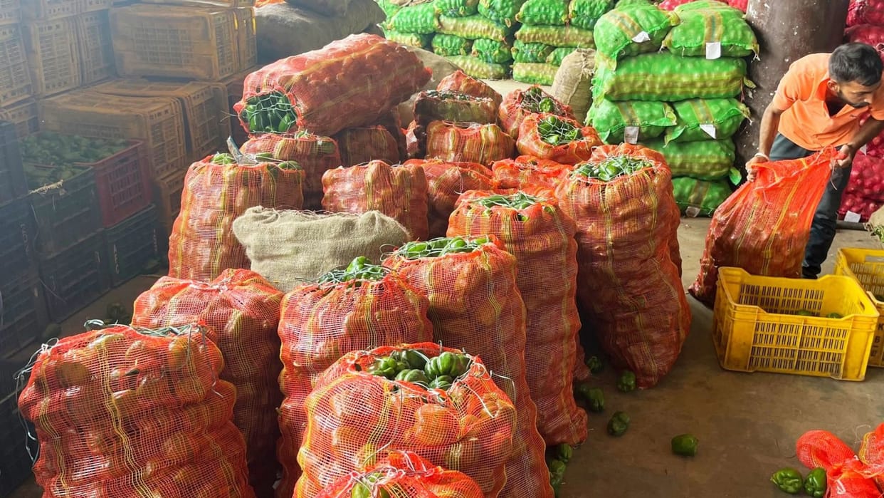solan news: farmers get good price of capcicum in sabji mandi solan