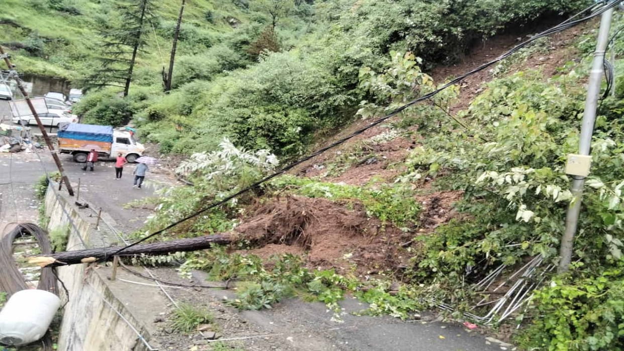Shimla News: Trees causing havoc in the rain, buildings in danger due to landslides, see devastation in pictur