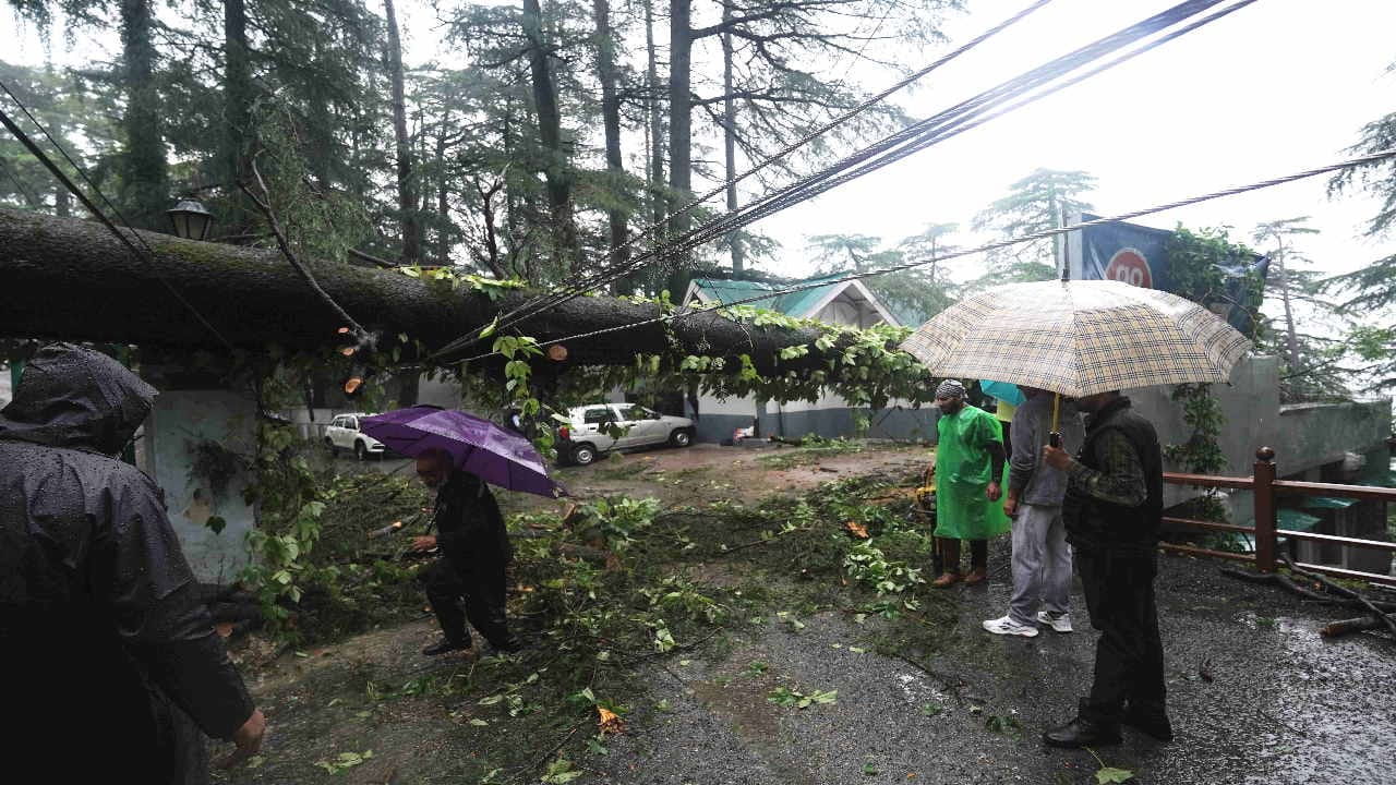 Shimla News: Trees causing havoc in the rain, buildings in danger due to landslides, see devastation in pictur
