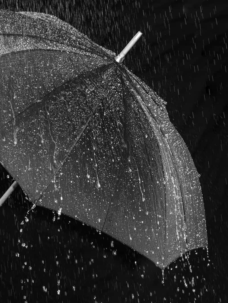 उर्दू अदब