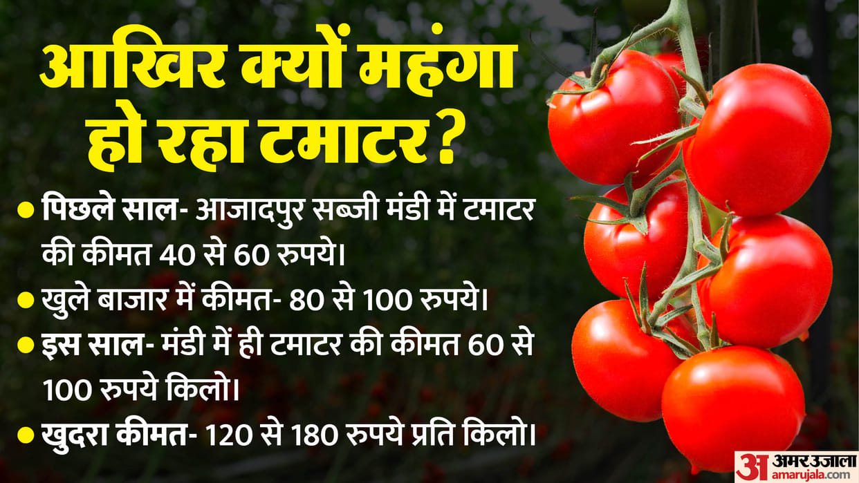 Vegetable Prices: Tomato has become twice expensive as compared to last year