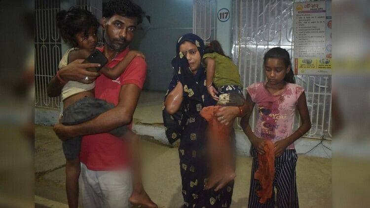 Bihar News: गीदड़ ने घर के दरवाजे पर आकर छह को काटा, पांच बच्चों के समूह पर हमला; महिला भी घायल