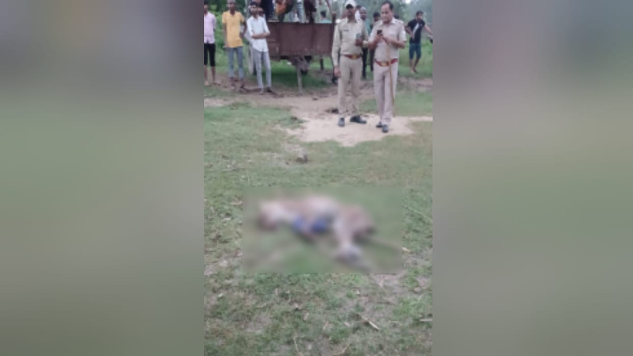 Forest department team has arrested a accused in case of killing Guldar in Bijnor