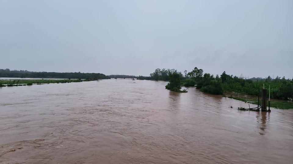 Rain In Haryana: Ghaggar becomes troublemaker from life giver; There was havoc in 1993, 1995 and 2010 as well