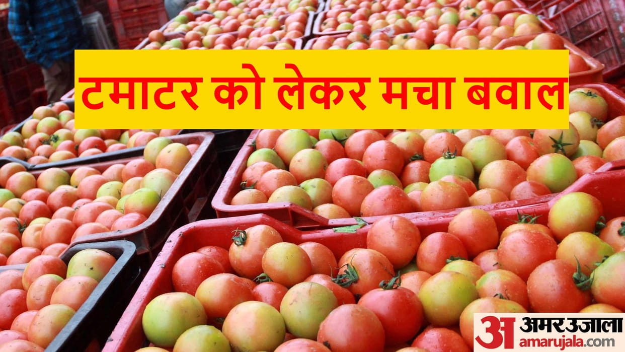 Seven employees including custom superintendent transferred for negligence in taking action in tomato case
