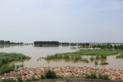 Yamuna flowing above danger mark in Baghpat, crops of farmers submerged, Alert