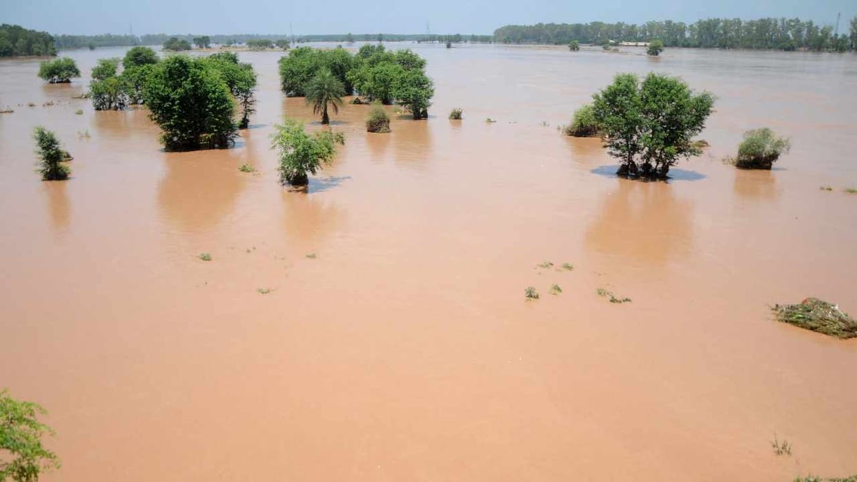 Punjab weather News: Buddha Nullah overflows in Ludhiana