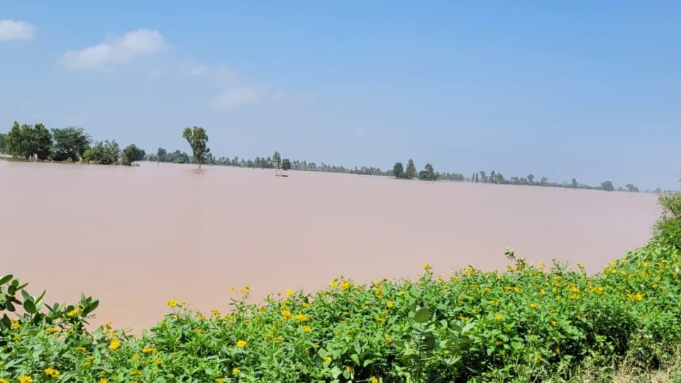 बारिश