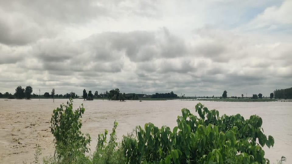 Water in 24 villages in Indri of Karnal, 10 thousand acres of crops submerged, contact broken with city