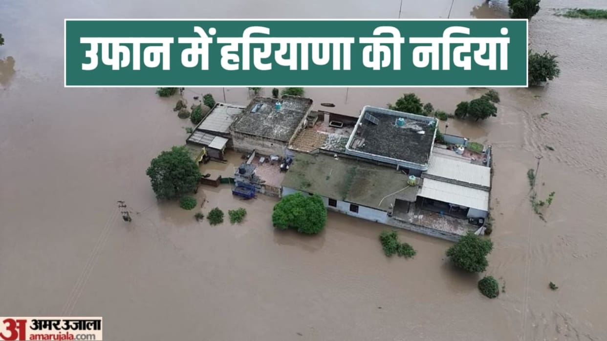 Haryana Weather News: Flood in seven districts of Haryana