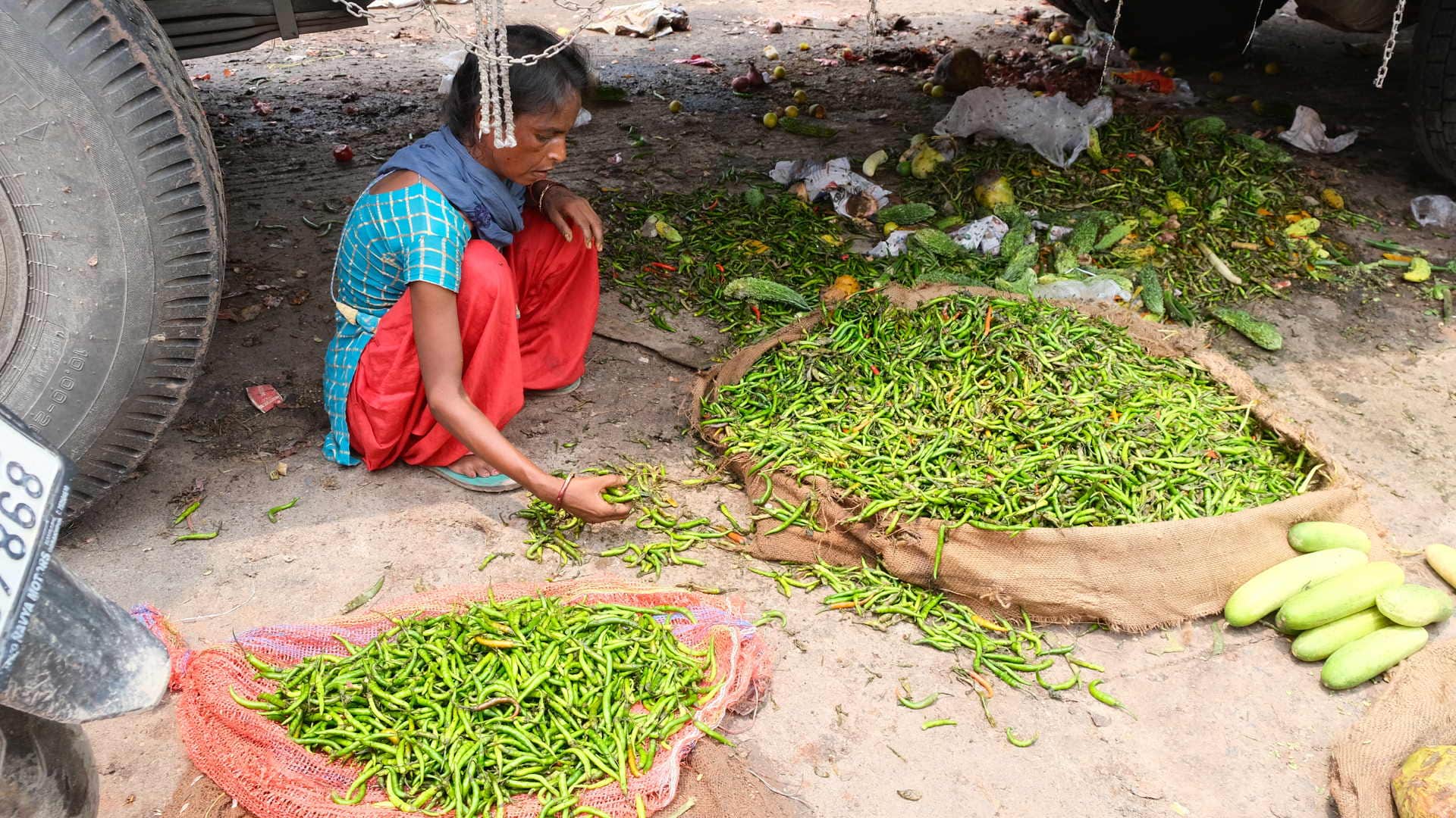 onions and lemons above Cheap tomatoes traders throwing them in market