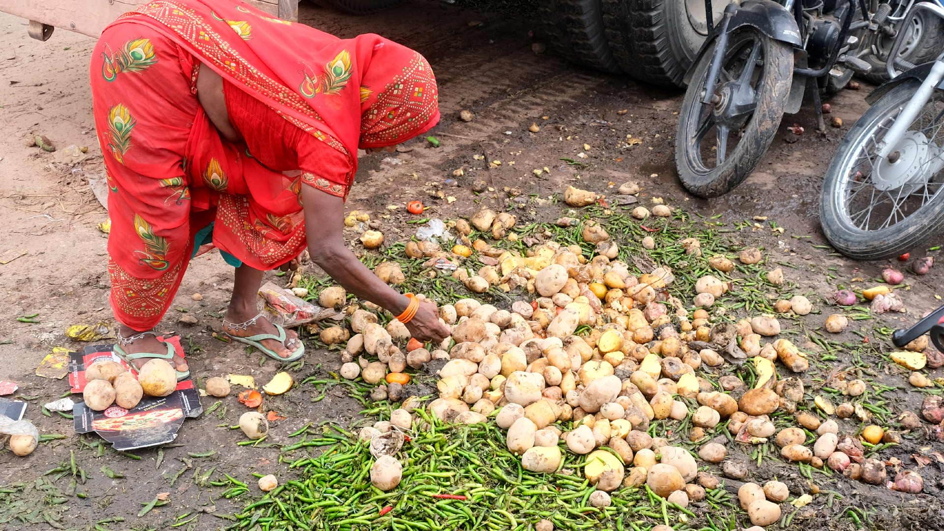 onions and lemons above Cheap tomatoes traders throwing them in market