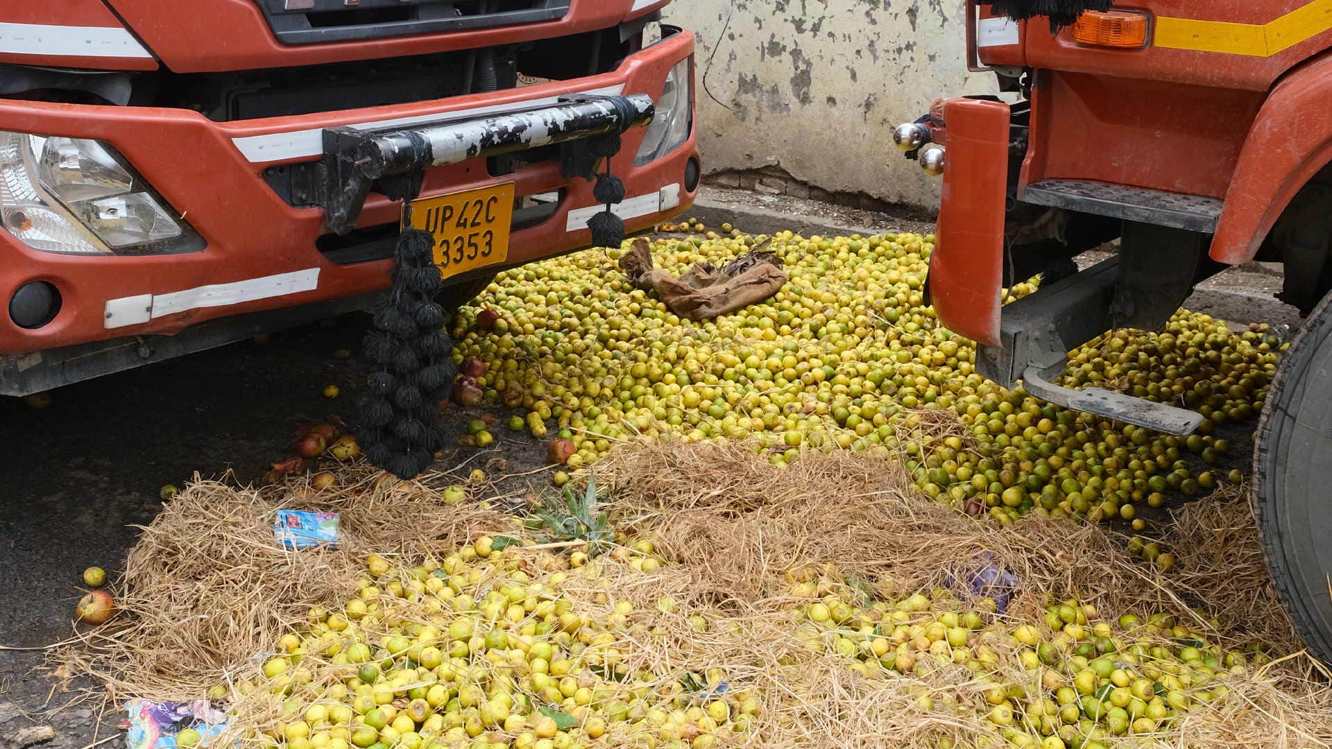 onions and lemons above Cheap tomatoes traders throwing them in market