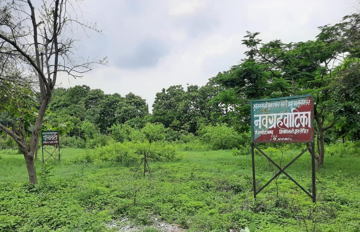 Four year one crore plants, no one has the account, the logic of the officers  they are safe and sound