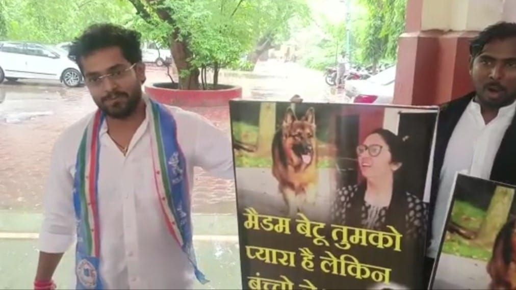 davv hostel warden dog bite students case