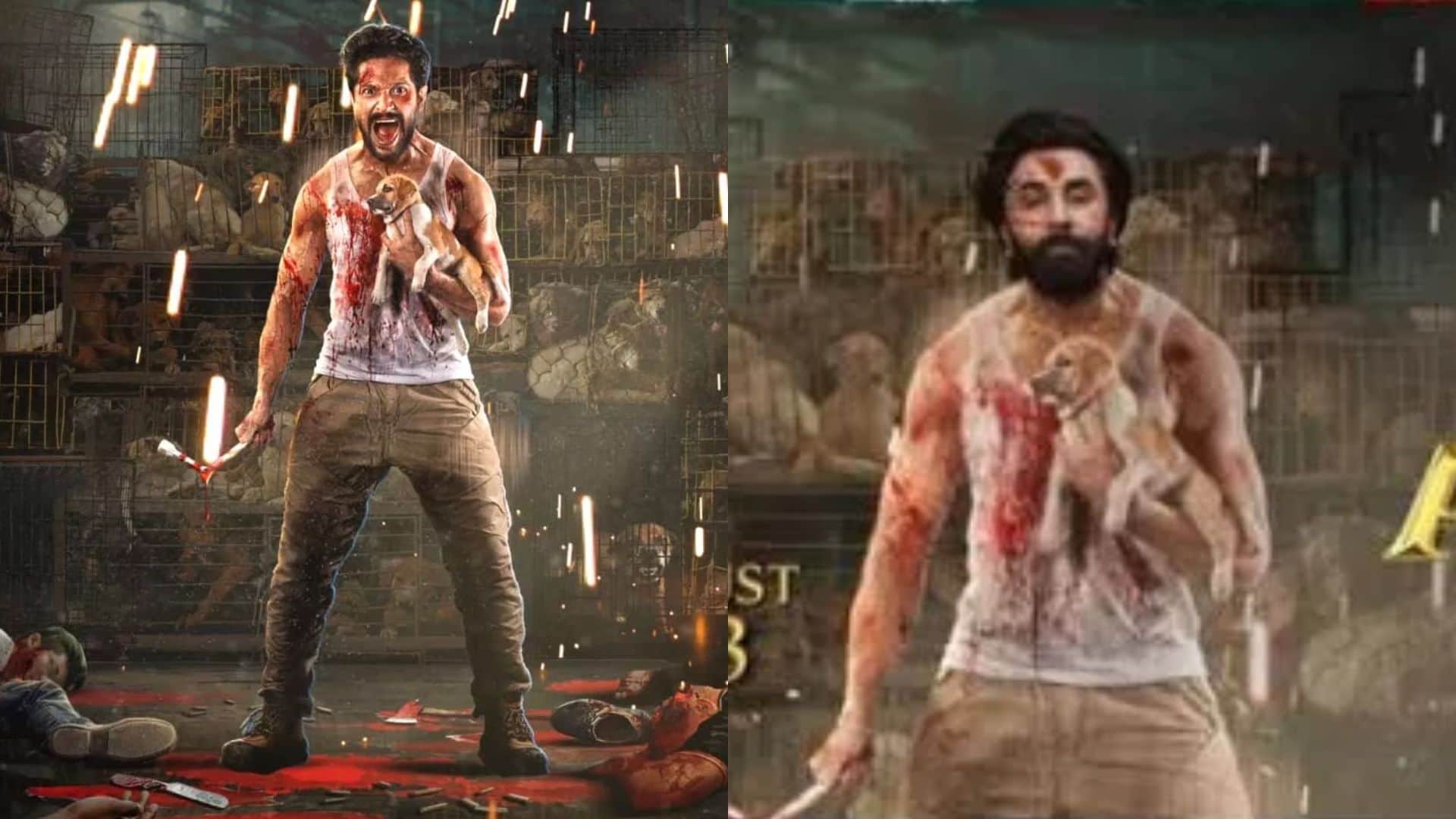 Dharmendra calls son Bobby Deol innocent he shares glimpse from Ranbir Kapoor Animal teaser see fans reaction