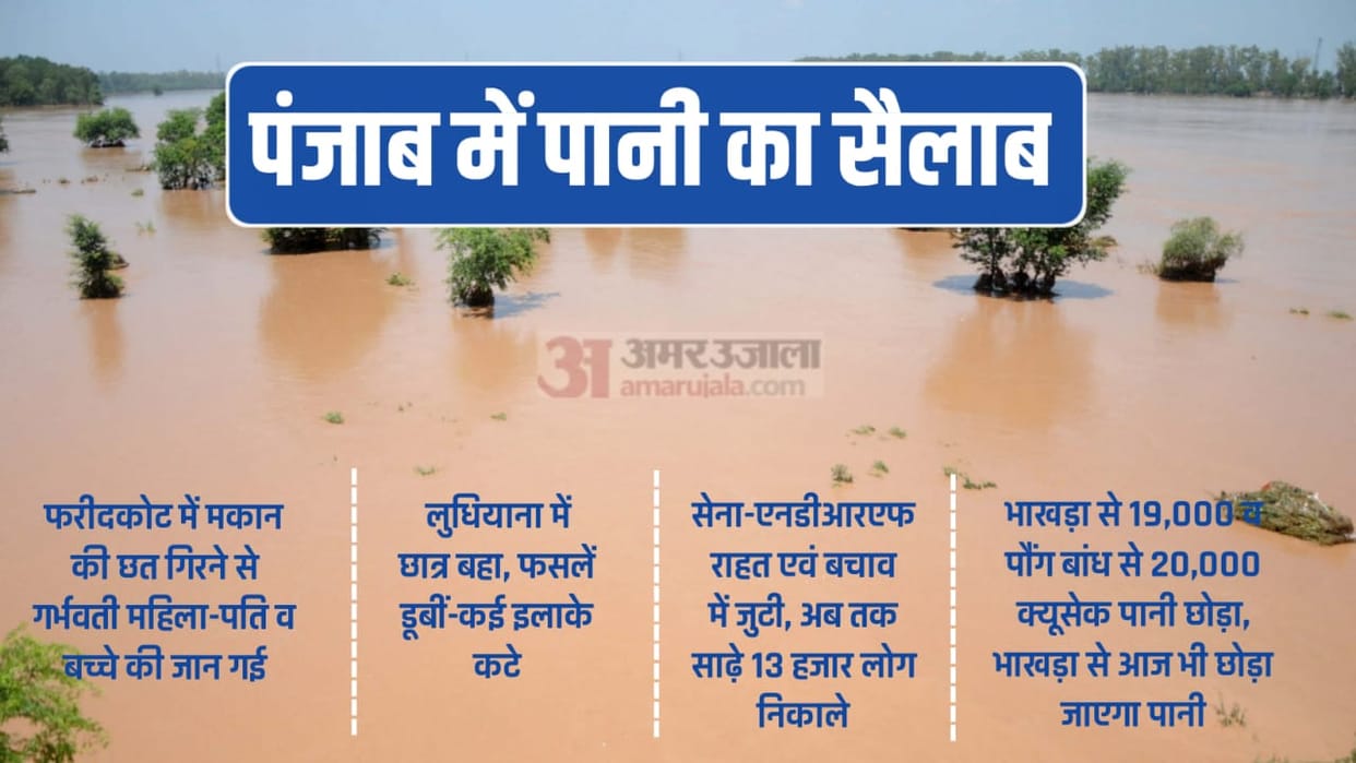 1058 Villages in 14 districts are in the grip of flood in Punjab