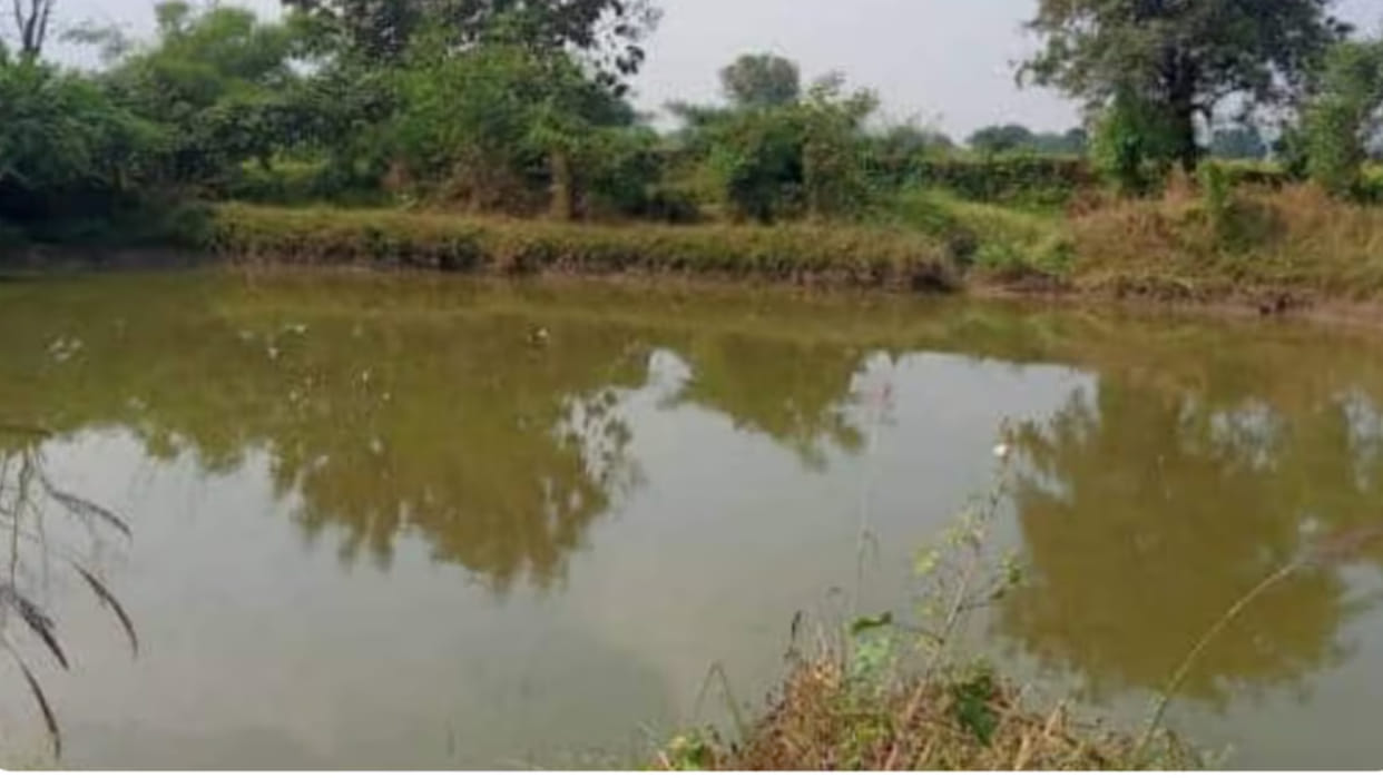 Shahdol News: Two brothers died due to drowning in Chhapra pond mourning spread in the village