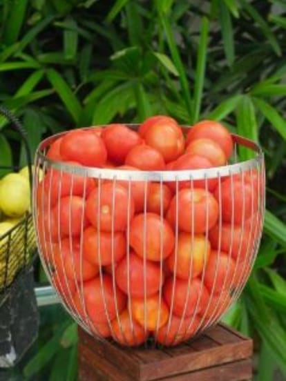 tomato