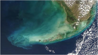 Climate change has shifted colour of over half of world's oceans: Study