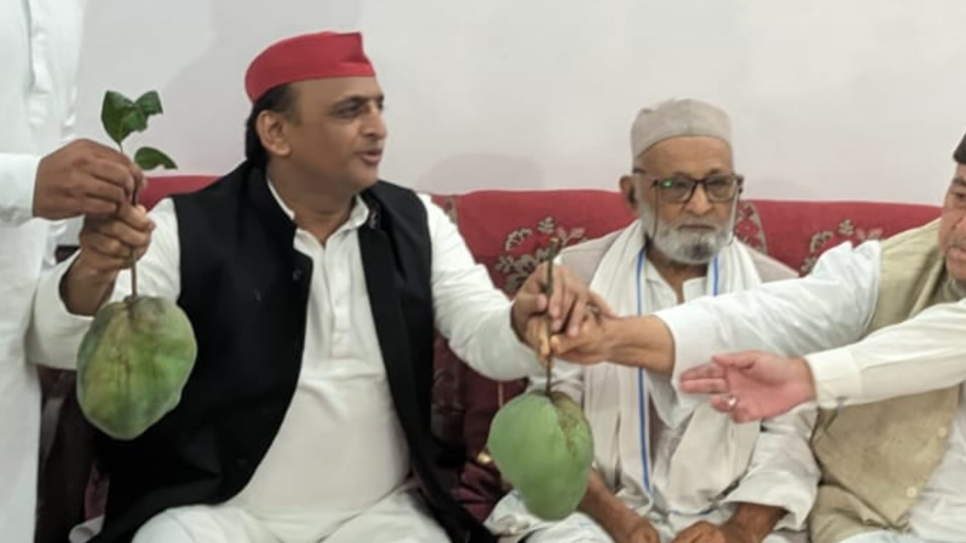 Akhilesh Yadav and his party leaders enjoy mango in Malihabad.