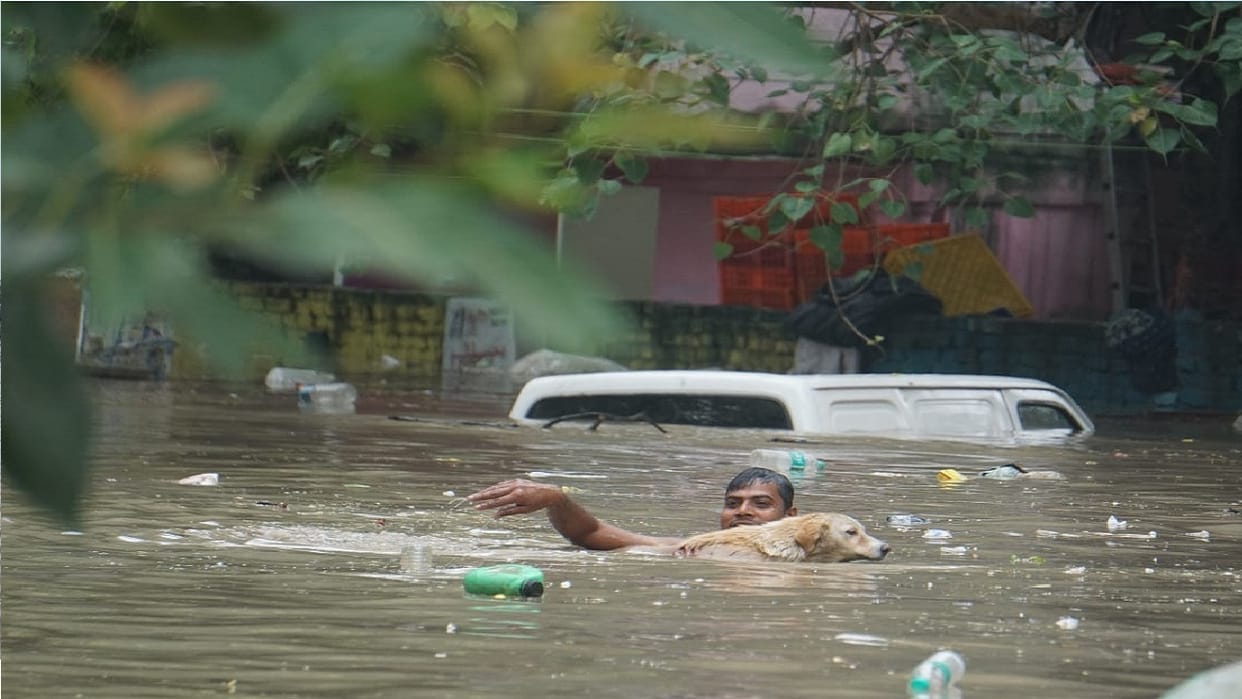 Extreme weather: Deaths have reduced but property loss increasing, says IMD chief
