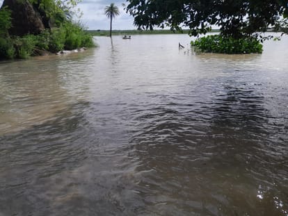 Ganga overflowing: District Magistrate reached the embankment and took stock of the situation