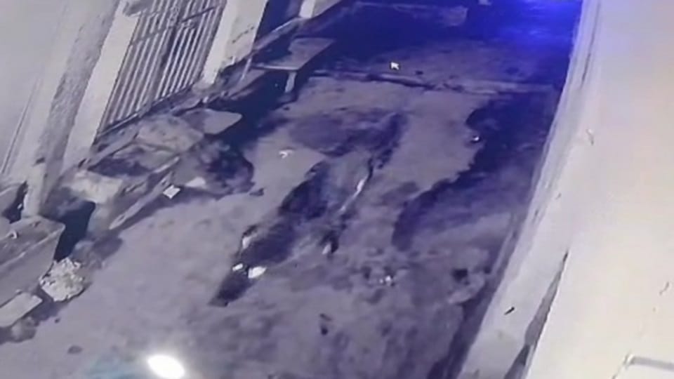 Crocodile seen roaming in the streets from Nai Basti Pokhar Aligarh