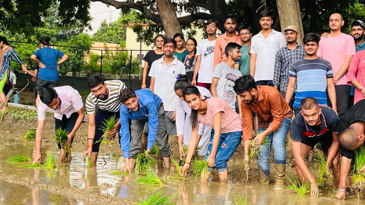 Gorakhpur University Students learned method of transplanting paddy by getting into field