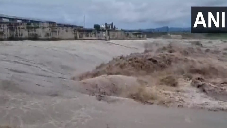 Water level increased in Hathnikund barrage of Yamunanagar , official said- it does not seem water level Down