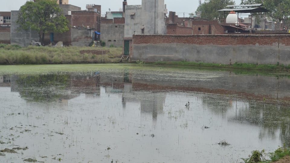 Crops getting ruined due to dirty water, walls of houses started cracking