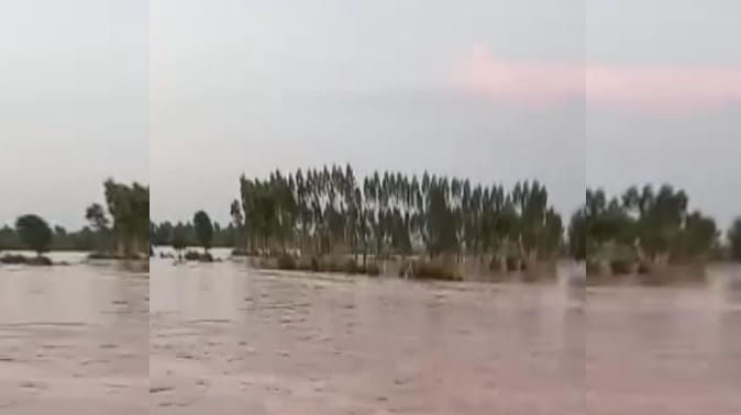 Bijnor: Many villagers stranded on river island amid flood, now waiting for water to recede
