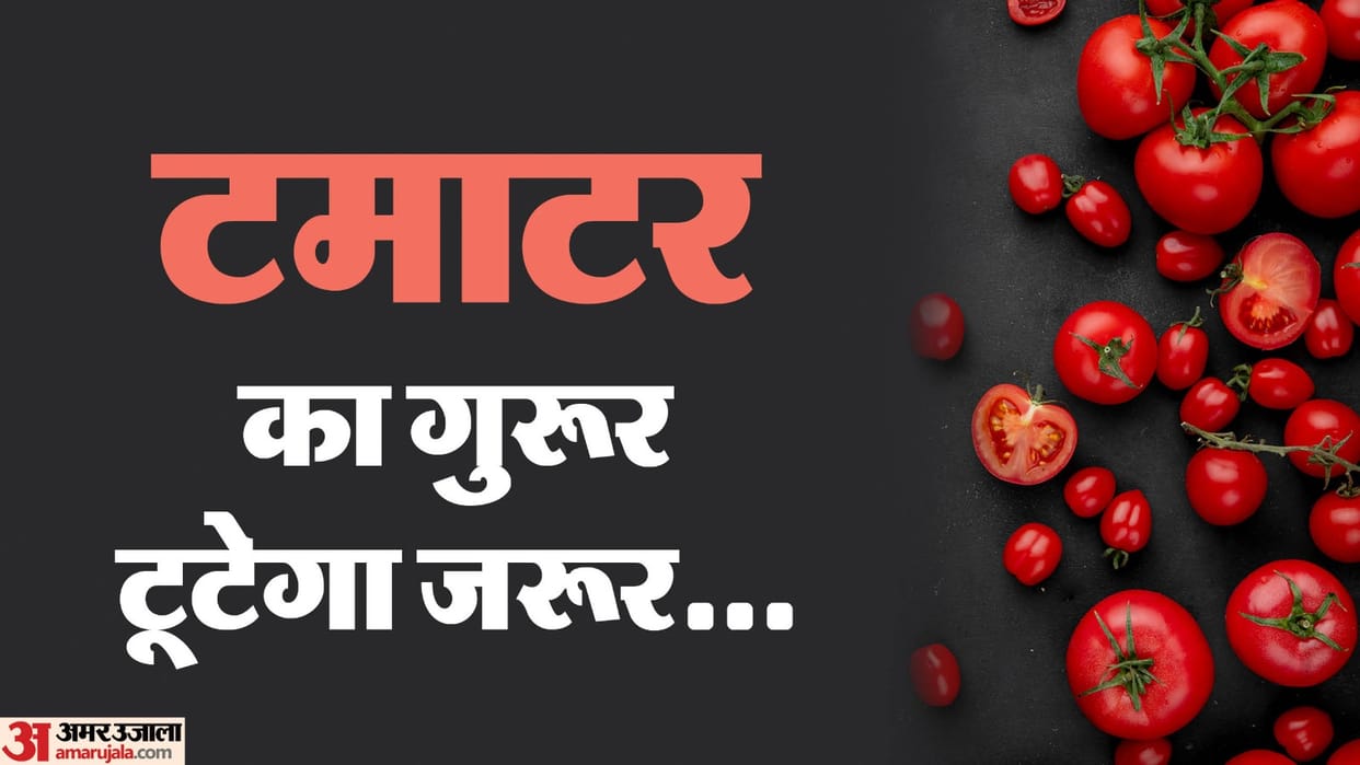 get Rs 80 per kg tomato in your locality, today tomatoes will be available at these places