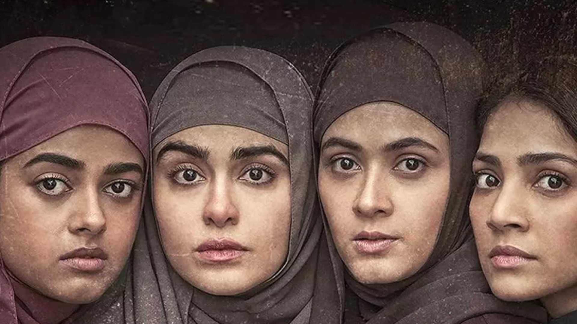 These Movies Got Anti-Muslim Tag the Kerala Story the Kashmir Files Ajmer 92 Hum Do Humare Do