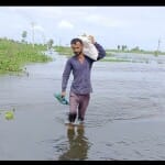 बाढ़ का कहर