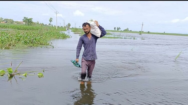 Flood Update: पंजाब में 2.4 लाख हेक्टेयर फसल डूबी, हरियाणा के 222 गांव शहरों से कटे; जानिए अन्य जगहों के हालात