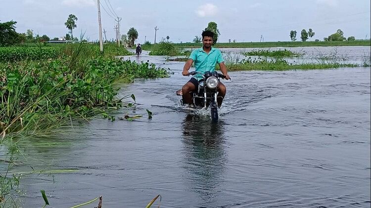 Flood in UP: Yamuna embankment breached in Baghpat, people stranded on island in Bijnor Hastinapur