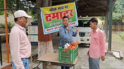 Tomato sold for Rs 100 per kg in mandi of pilibhit