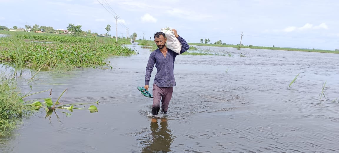 Delhi NCR Flood Update 2.4 Lakh Hectares Of Crops Submerged In Punjab Haryana Villages Cut Off From Cities