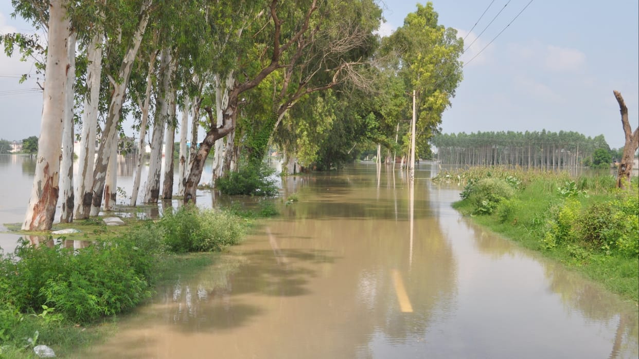 Relief from opening of Hisar-Chandigarh National Highway