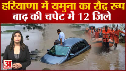 Haryana Flood | The fierce form of Yamuna in Haryana, 12 districts in the grip of flood. Yamuna flood