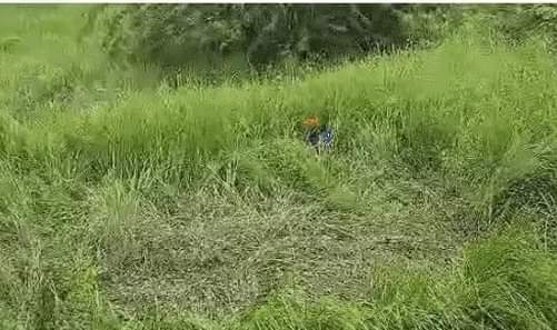 Brutal murder of BA student after rape, injury in genitals, scratched face and throat, know the whole matter