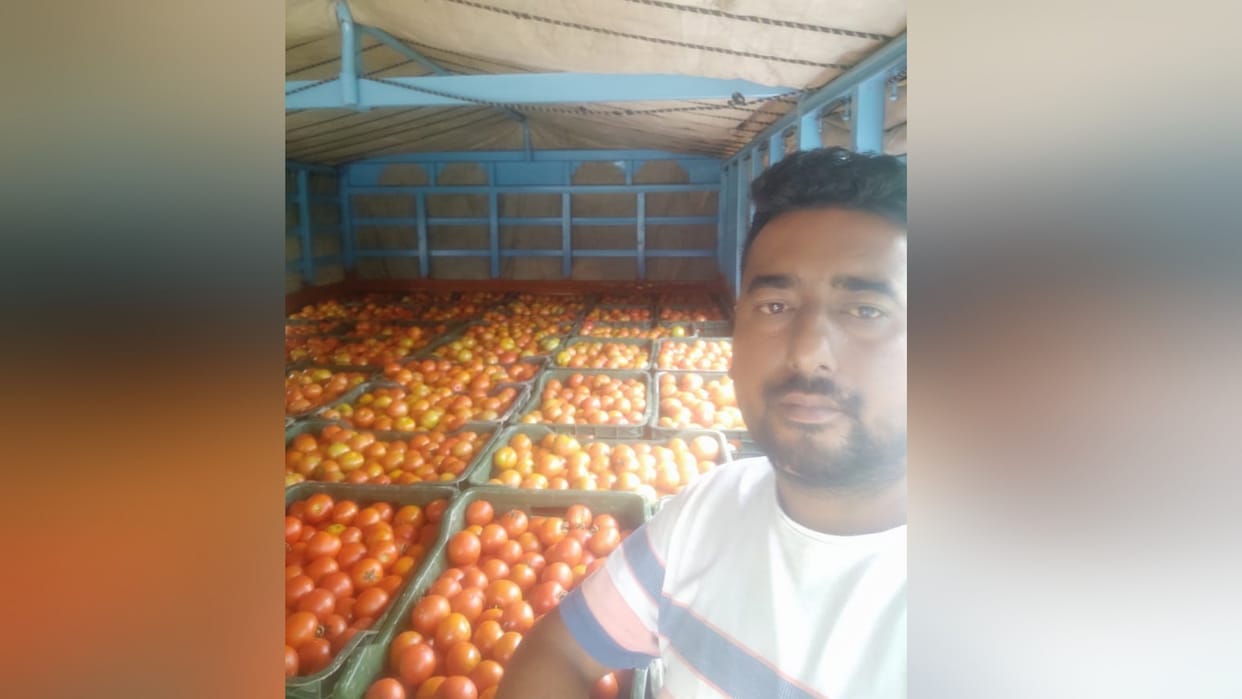 Tomato Crate price 2600 rupee in Balh Mandi Himachal Pradesh