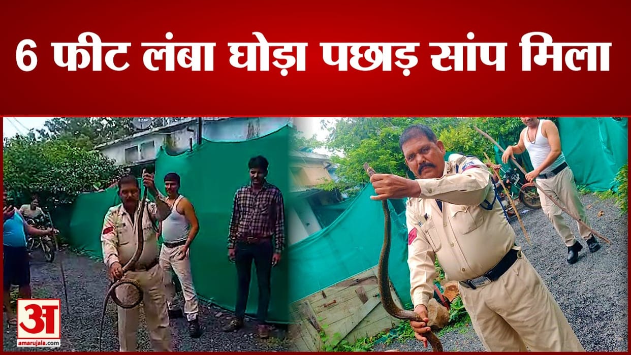 Police caught a snake overtaking a six-feet horse In Rajgarh