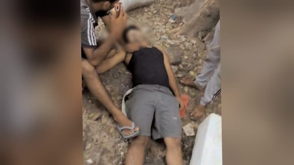 Body found hanging from tree near coal depot in Sector 37 of Chandigarh