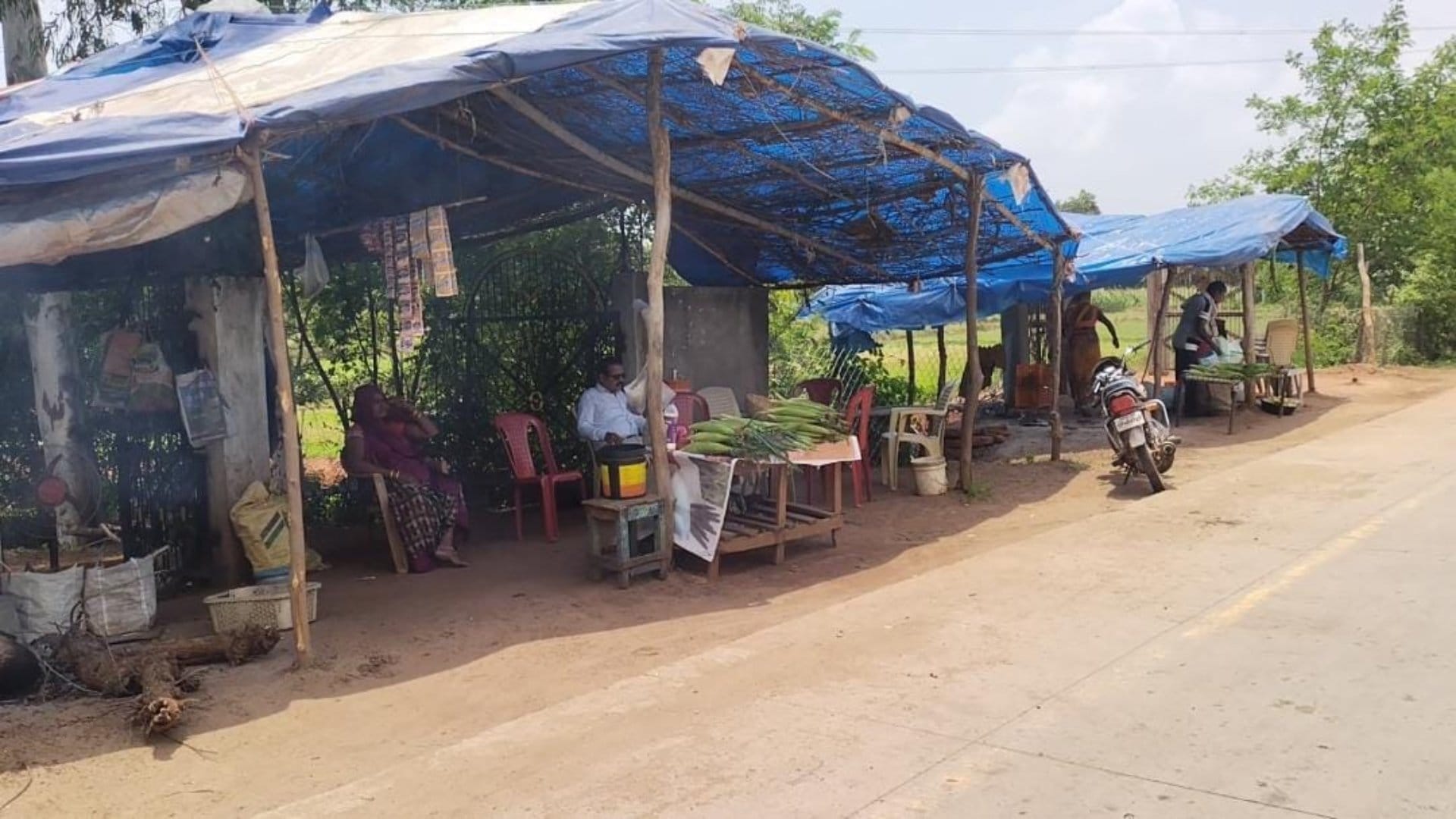 Farmers are getting rich by cultivating sweet corn; Katni is getting a new identity in every corner of country