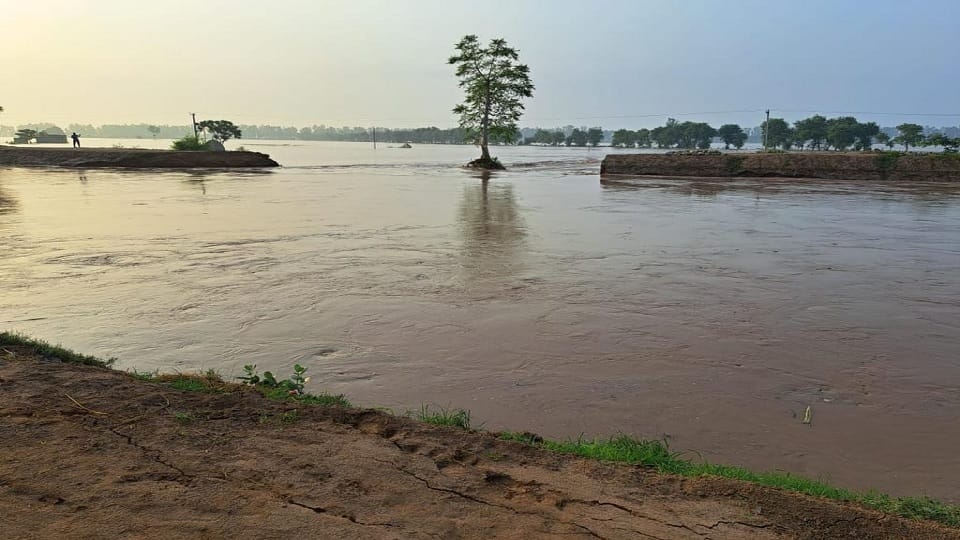 Broken Rangoi drain near Shakkarpura village of Fatehabad, crack up to 100 feet, fields submerged