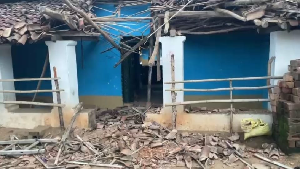 Elephant created havoc in Kanker broke many houses