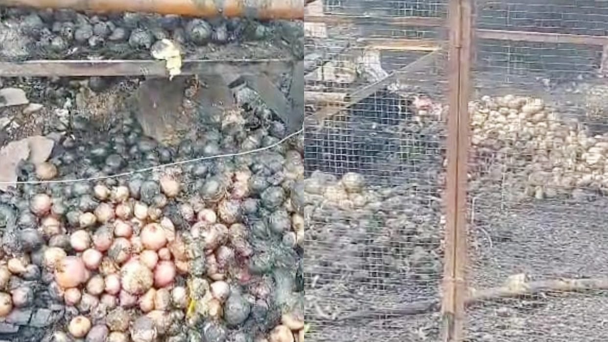 MP News Miscreants set fire to vegetable shop tomatoes worth three lakhs burnt to ashes in Damoh